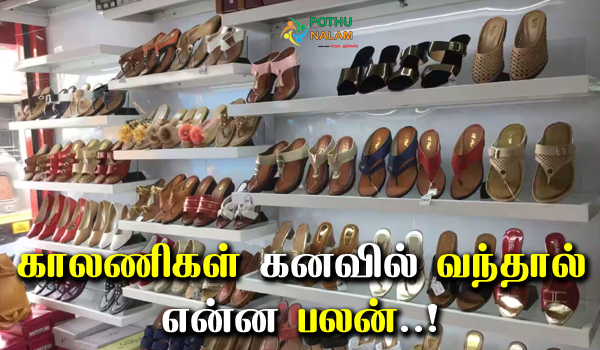 What is the Benefit of Seeing Sandals in a Dream in Tamil
