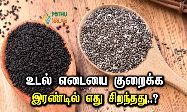 Which is Better For Weight Loss Chia Seeds or Sabja Seeds in Tamil:
