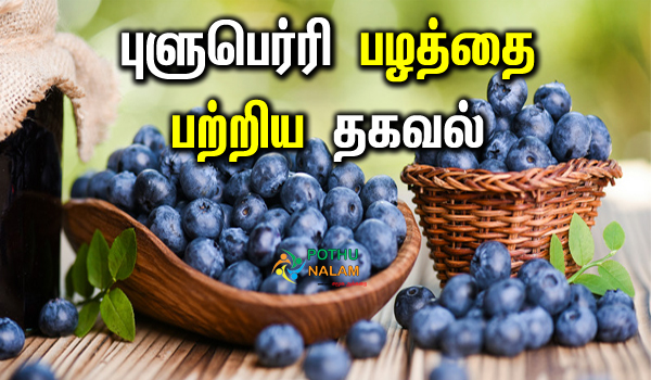 blueberry in tamil