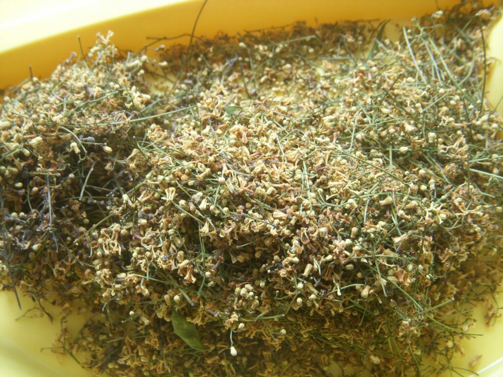  dried neem flower business plan in tamil