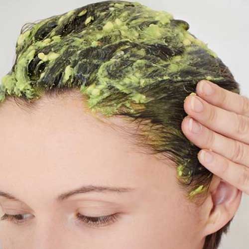 egg for hair growth in tamil