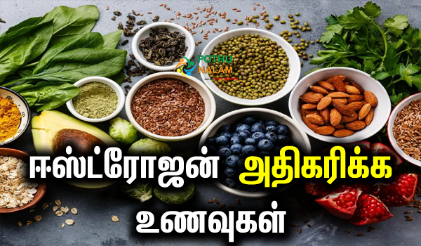estrogen rich foods in tamil
