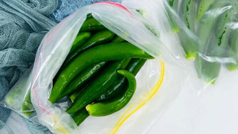  how to store green chillies for long time in tamil