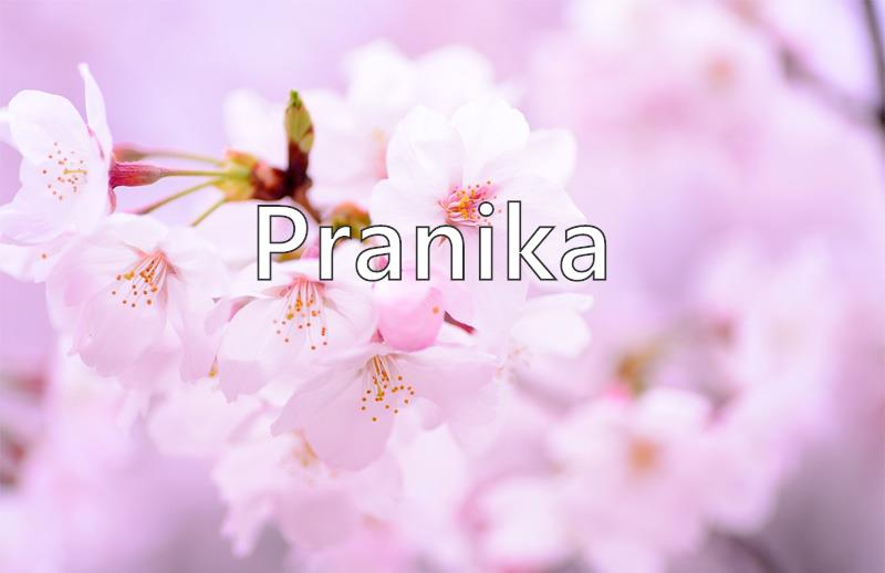 Pranika Meaning in Tamil