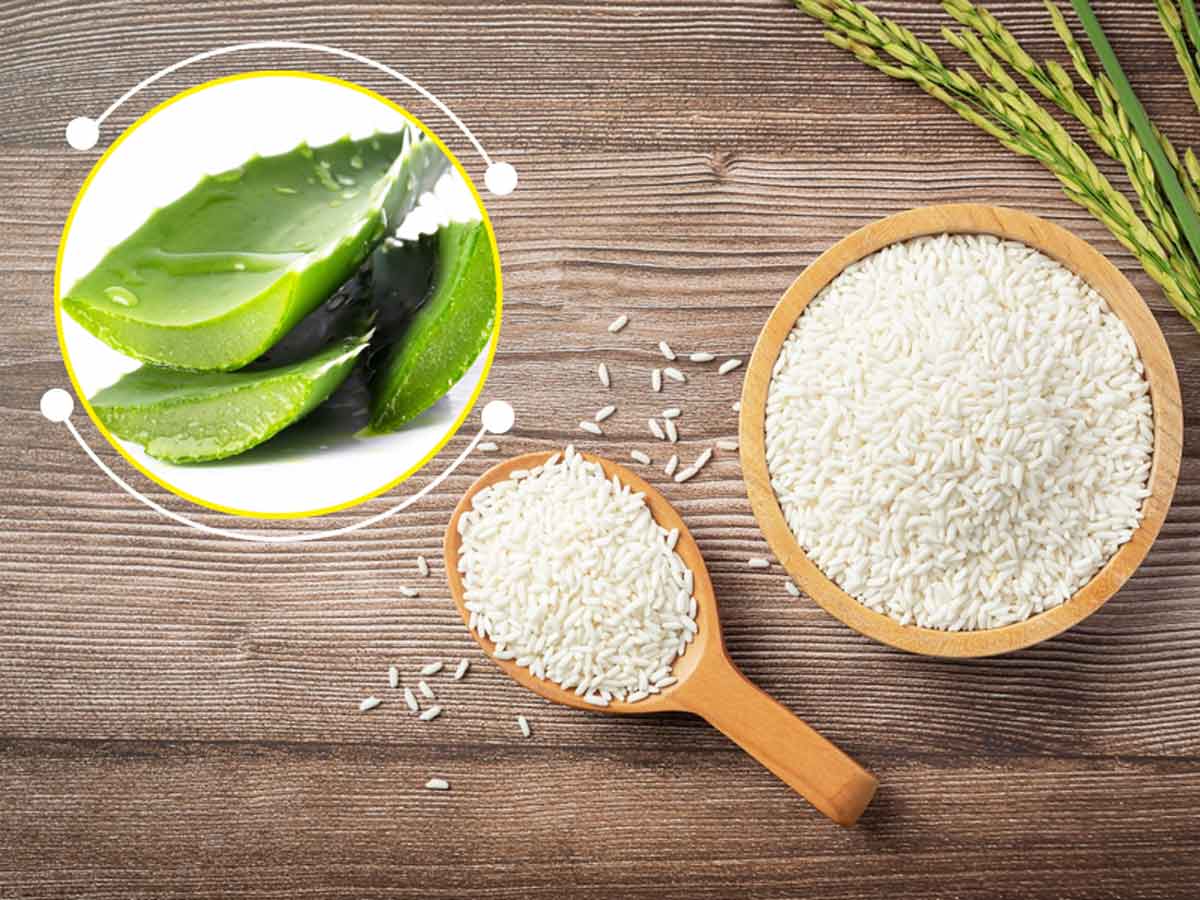 Rice Water and Aloe Vera Gel For Face Benefits in Tamil