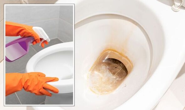 Toilet Cleaning Tips