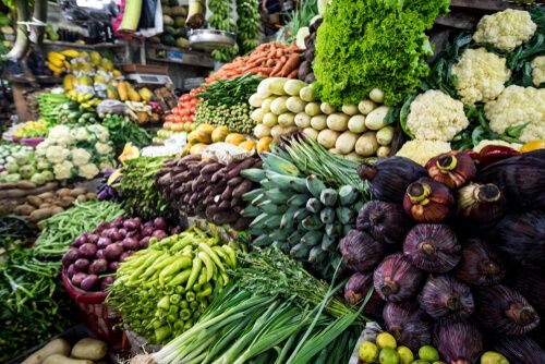 Wholesale Vegetable Business Plan in Tamil