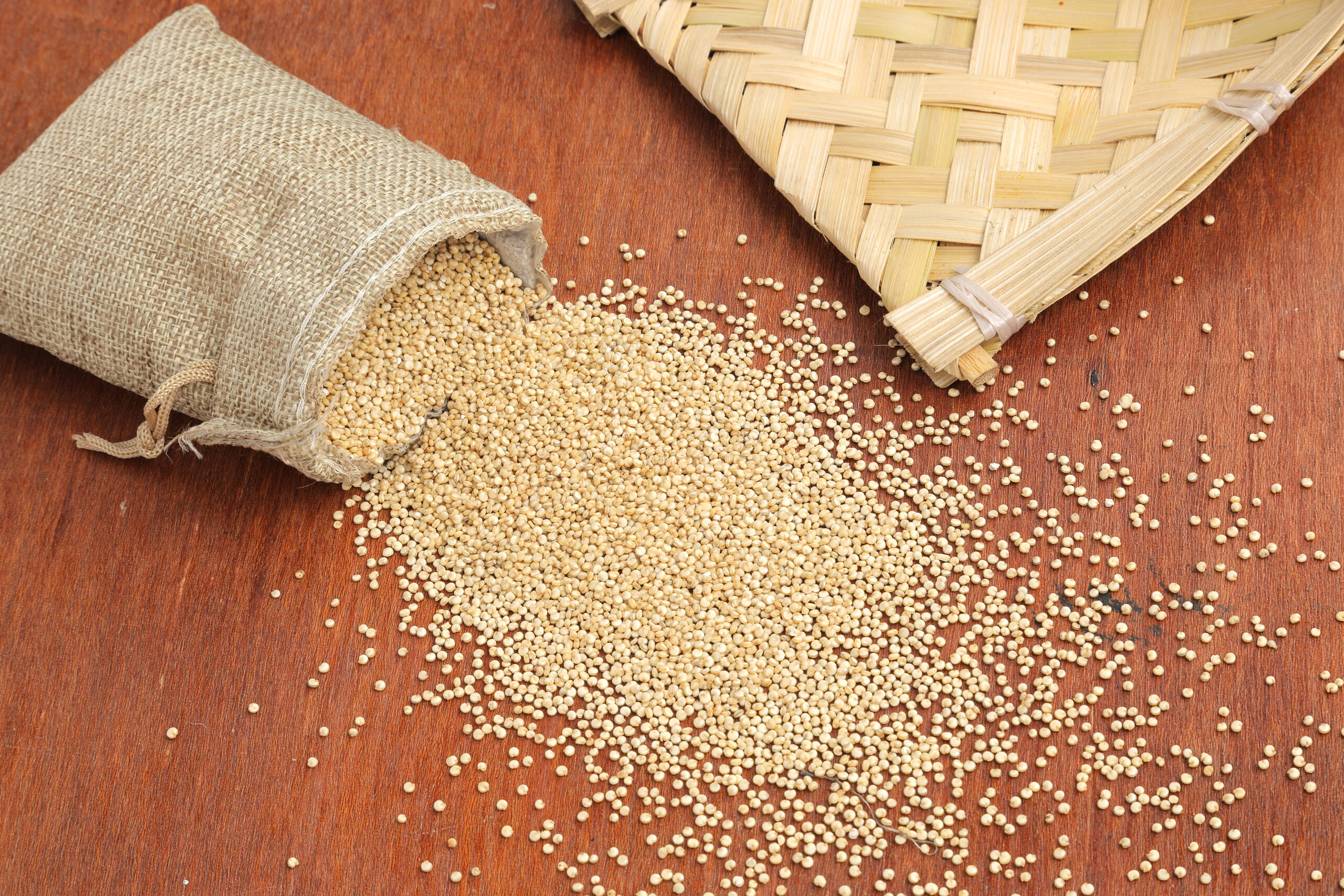  information about little millet in tamil