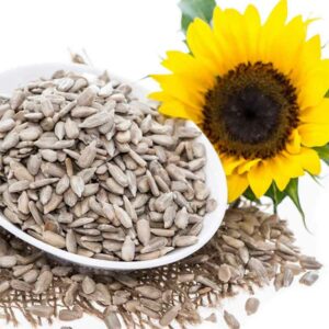  sunflower seeds benefits in tamil 