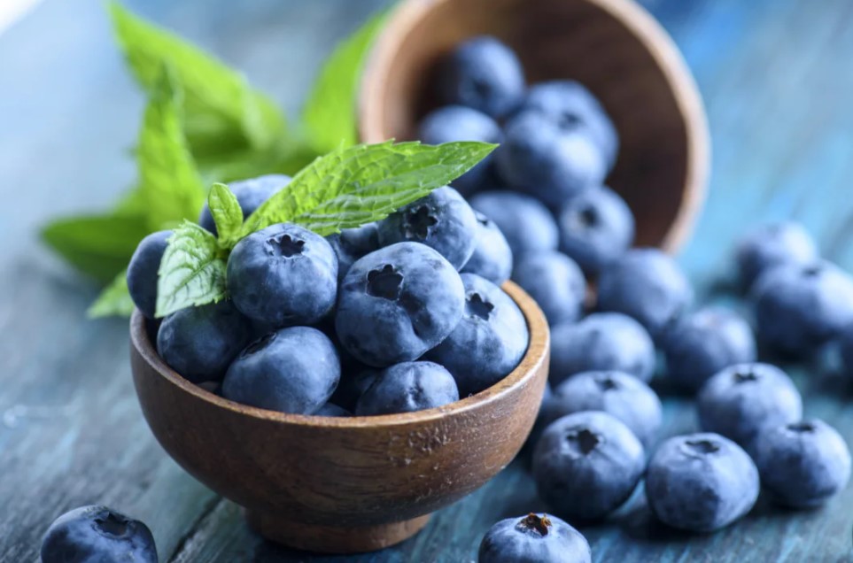 Blueberry Fruit Health Benefits in Tamil