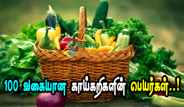 Vegetables Names in Tamil