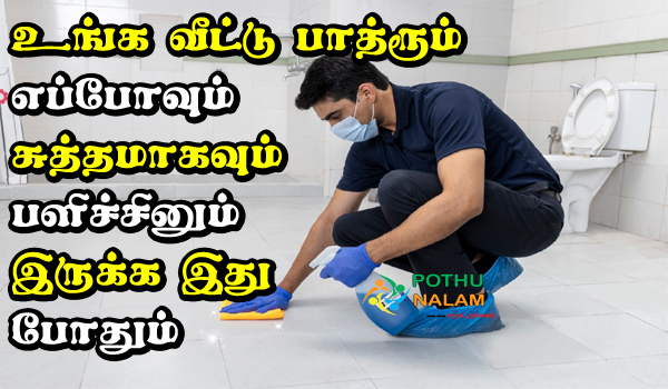 the best home remedies for cleaning bathrooms in tamil 