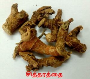 Dry cough home remedies in tamil