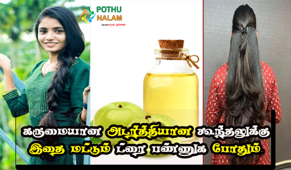 Faster Grow of Hair at Home in Tamil