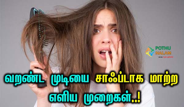 How To Manage Frizzy Hair Naturally in Tamil
