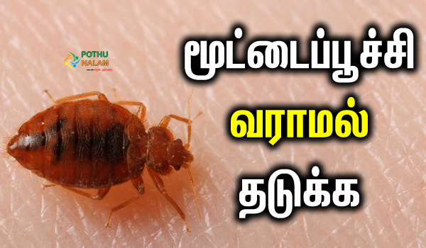 bed bug removal home remedies in tamil