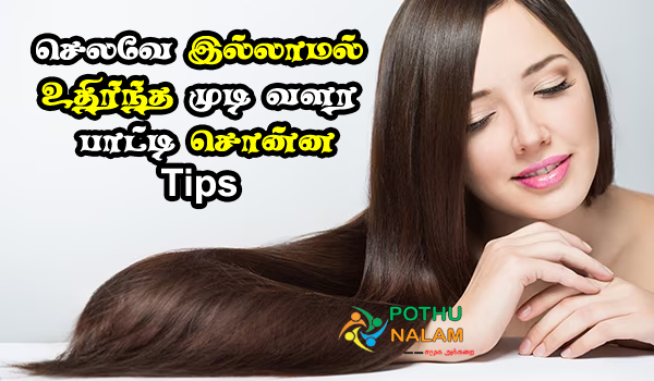 best home made remedies for dark hair growth in tamil 