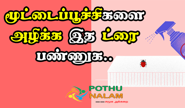 how to get rid of bed bugs naturally in tamil