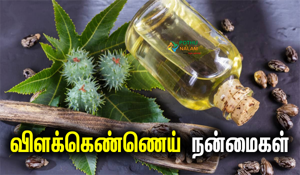 velakennai oil benefits in tamil
