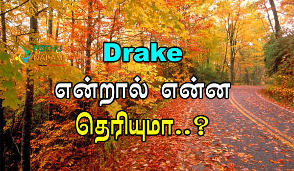 Drake Meaning in Tamil
