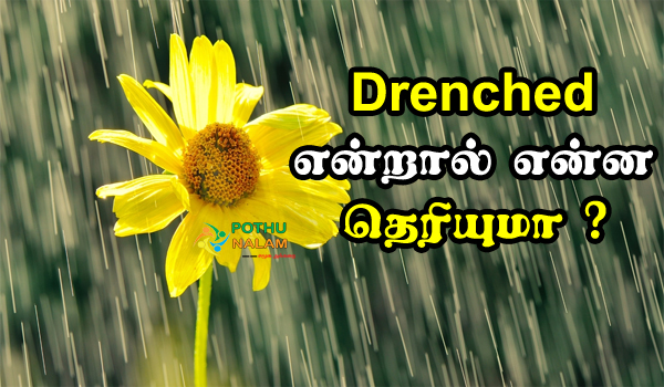 Drenched meaning in tamil