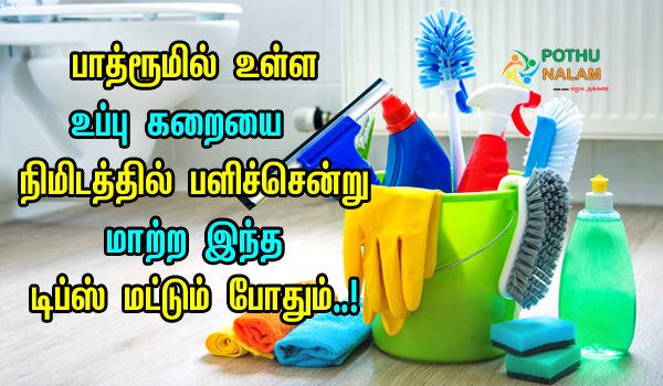 Easy Way To Clean Bathroom in Tamil
