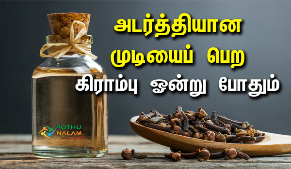 Grampu for Hair Growth in Tamil