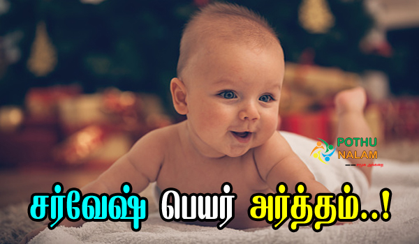 Sarvesh Meaning in Tamil