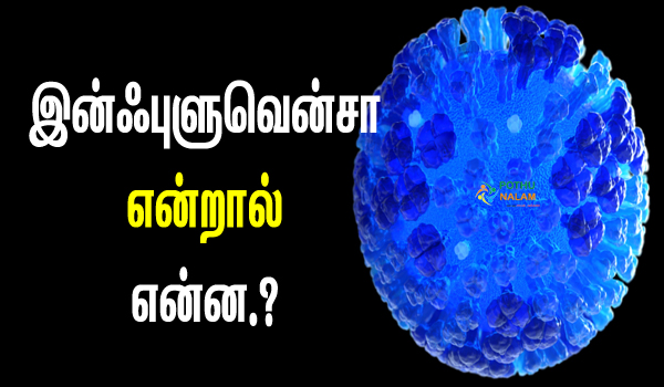 flu virus symptoms in tamil