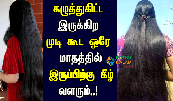 Best Remedy For Hair Growth and Thickness in Tamil