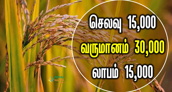 How much does it cost to cultivation in 200 square feet in tamil