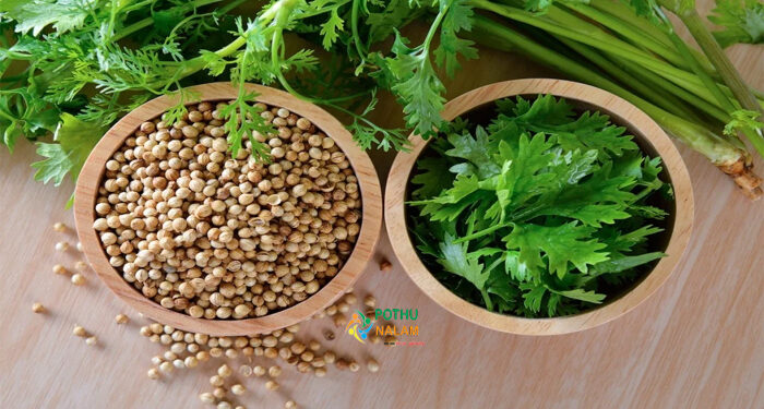 Mistakes you should avoid while planting coriander