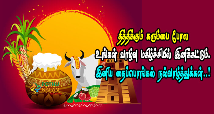 Pongal Wishes Quotes in Tamil