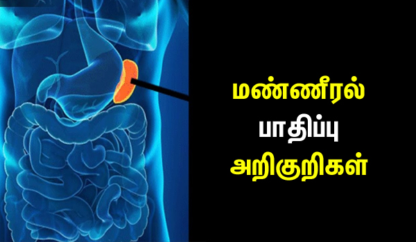 Spleen Damage Symptoms in Tamil