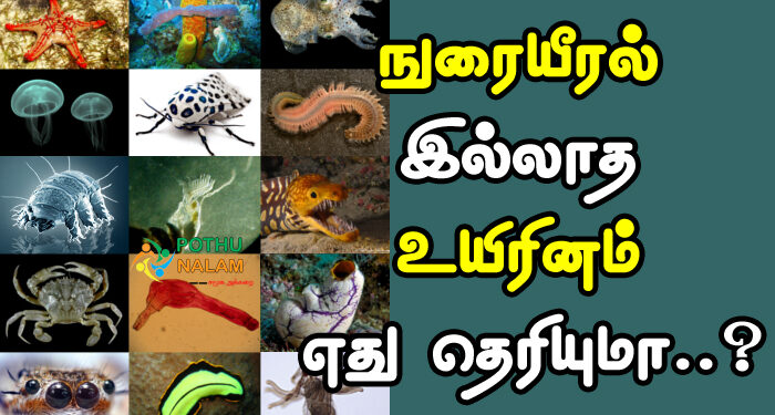 Which Creature Does Not Have Lungs in Tamil