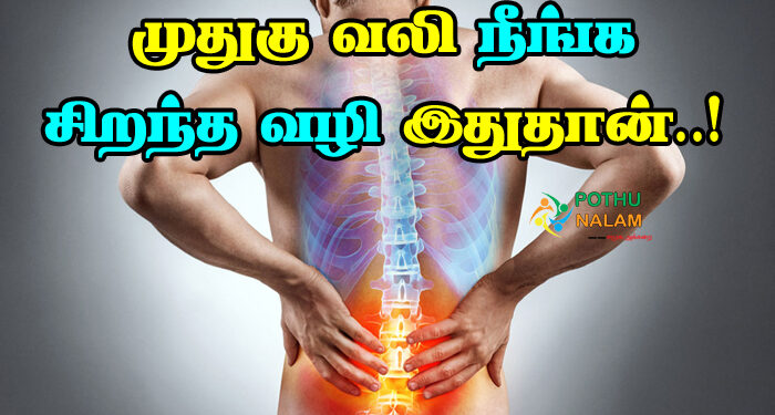 Yoga Asanas for Back Pain in Tamil