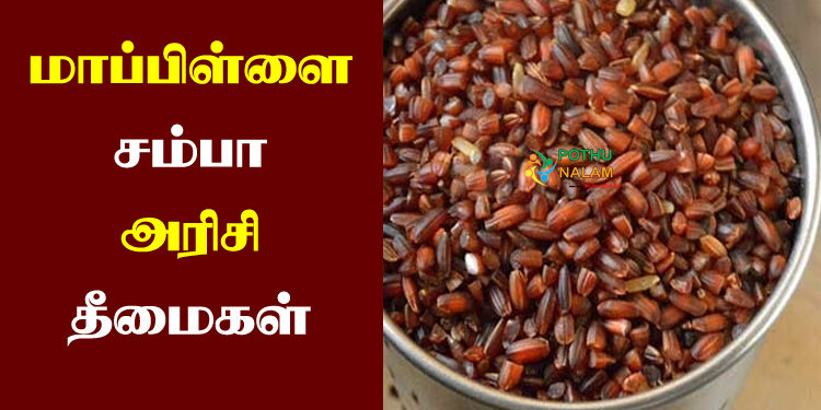 mappillai samba rice side effects in tamil