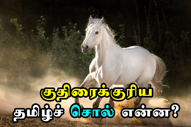 other names for horse in tamil