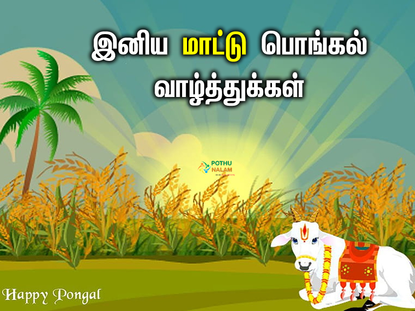 Mattu Pongal Wishes in Tamil Words