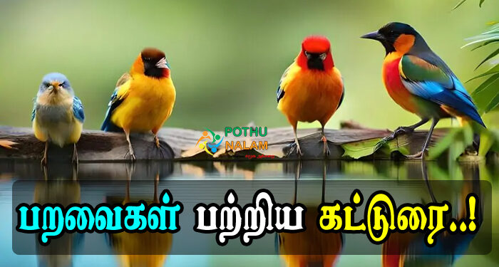 Paravaigal Patri Katturai in Tamil