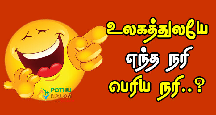 Sema Kadi Jokes in Tamil Question and Answer