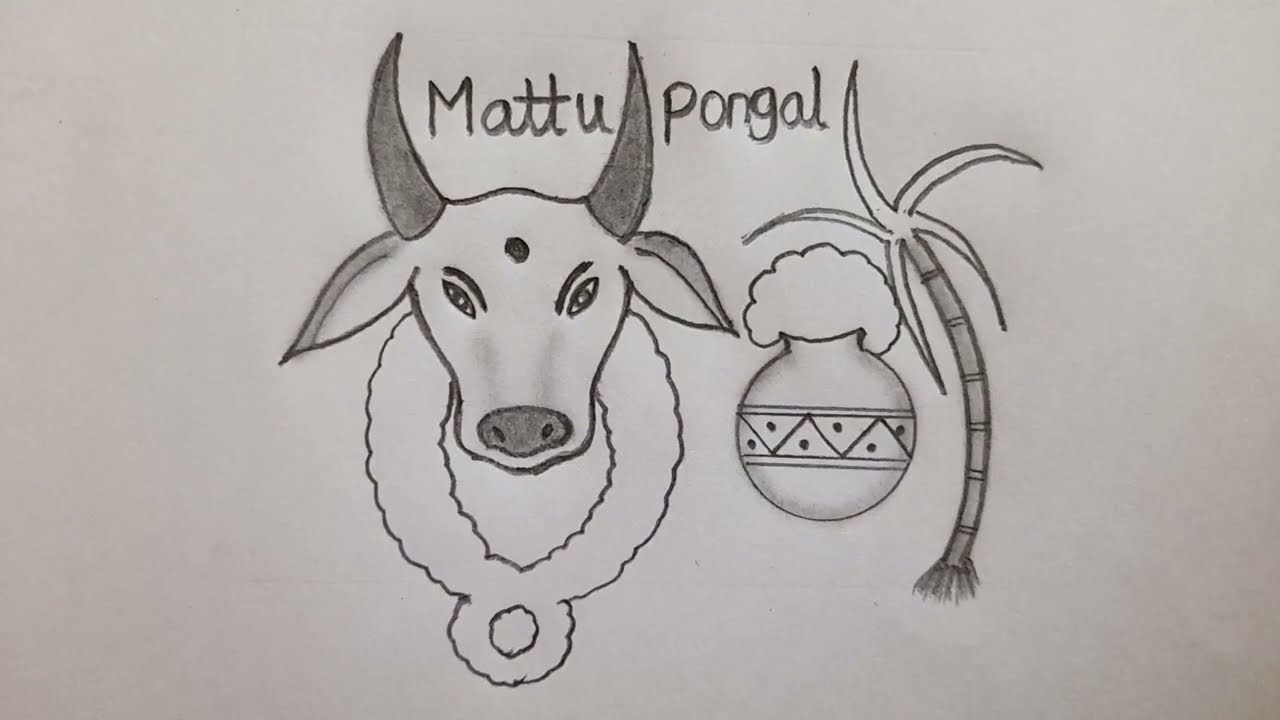  mattu pongal drawing pictures