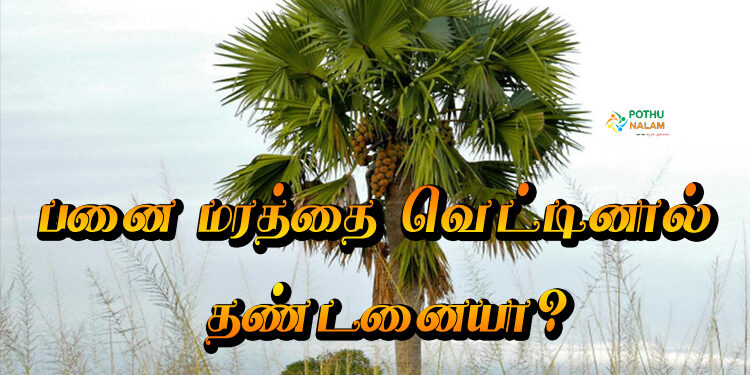 Punishment for Cutting Palm Tree in Tamil 