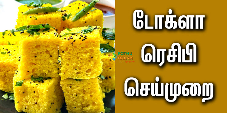 Dhokla Recipe in Tamil