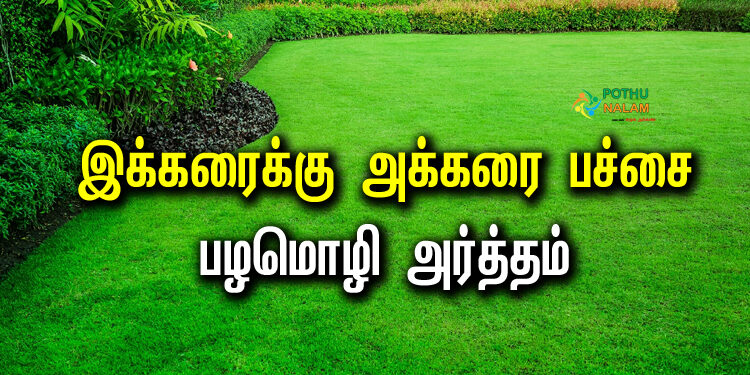  Ikkaraikku Akkarai Pachai Meaning in Tamil