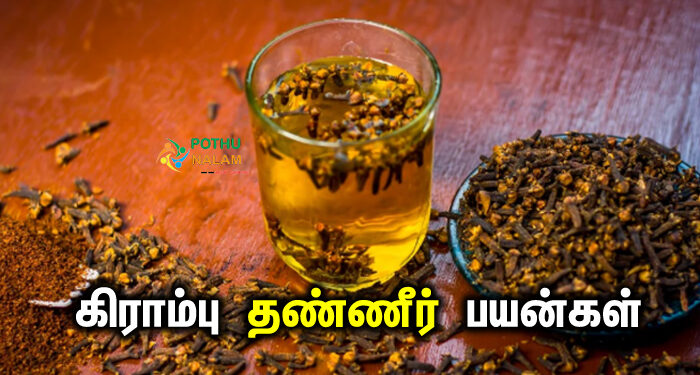 clove water benefits in tamil