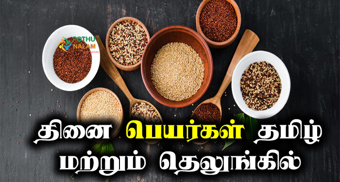 millet names in tamil and english