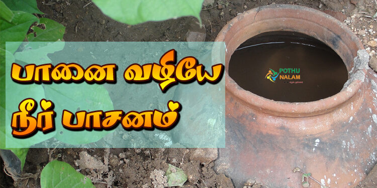Pitcher Irrigation in Tamil