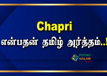 Chapri Meaning in Tamil