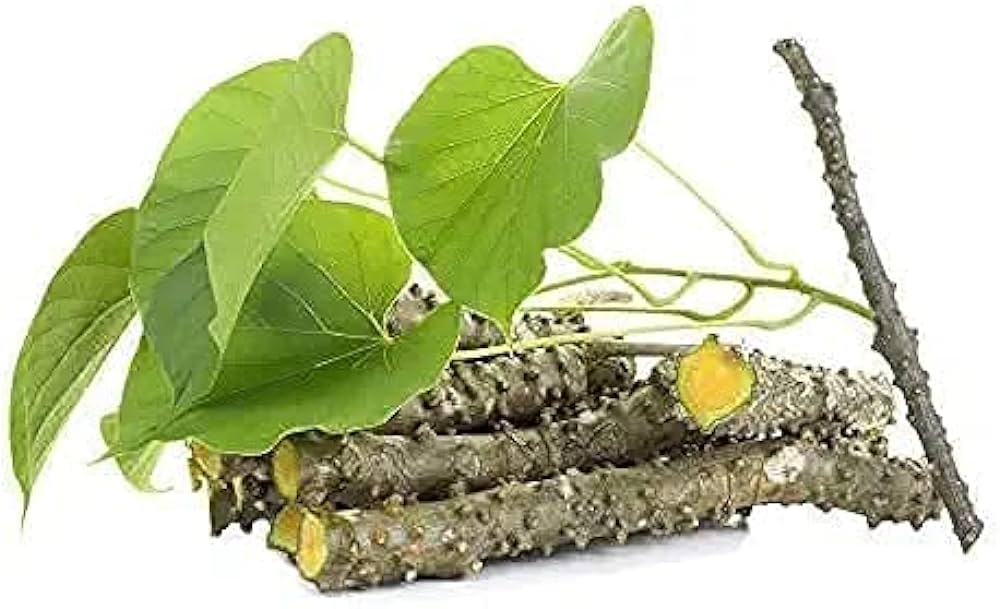 Giloy Benefits in Tamil